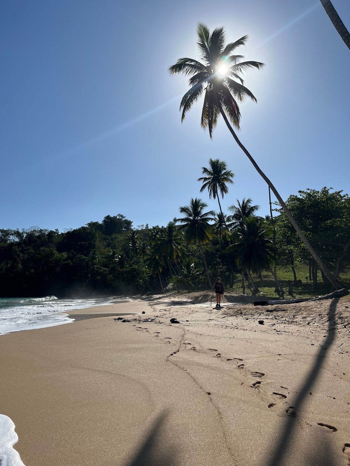 Playa dominicana con palmeras a contraluz