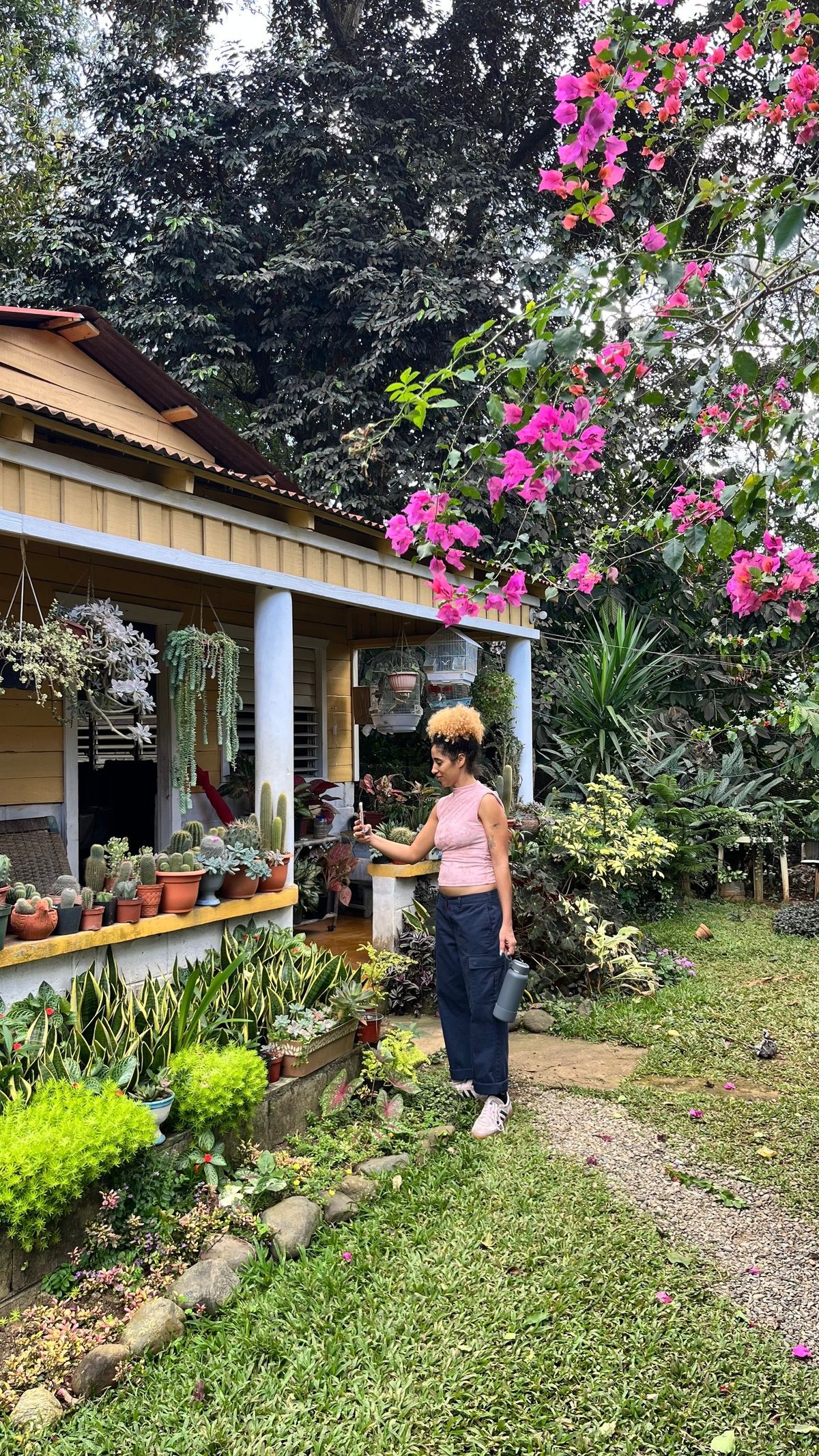 Galería de una casa dominicana en la montaña rodeada de flores