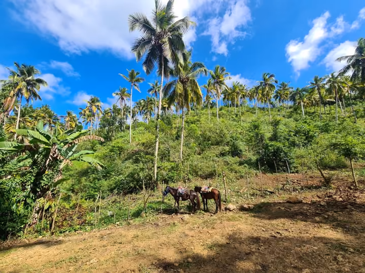 The True Essence of the Dominican Republic
