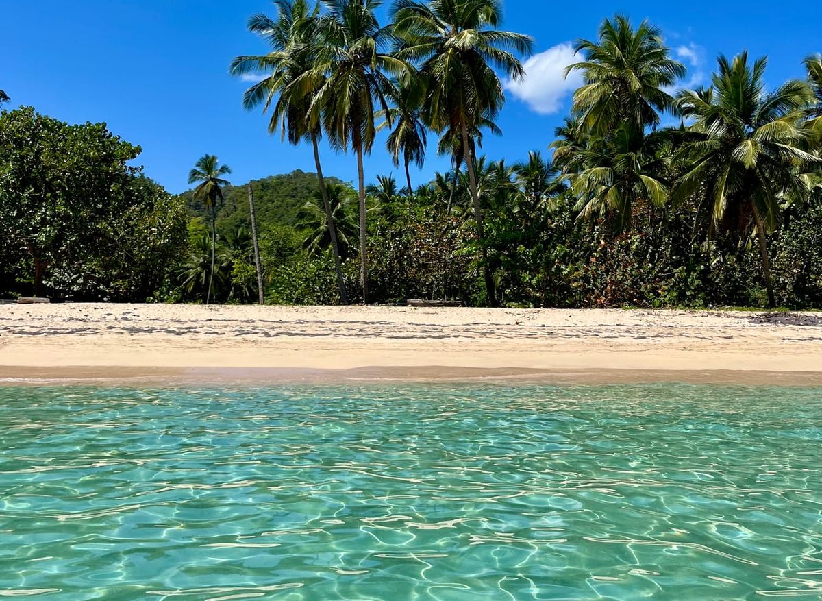 Agua cristalina del Caribe frente a una playa con palmeras
