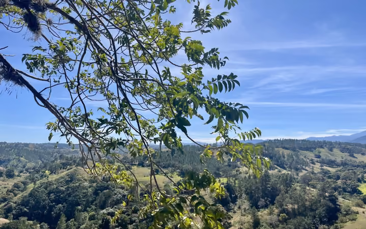 The Dominican Republic is also green
